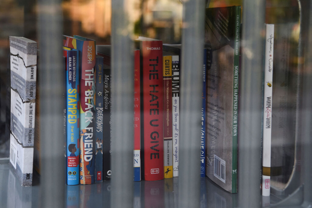 A Little Free Library contains banned books in Houston