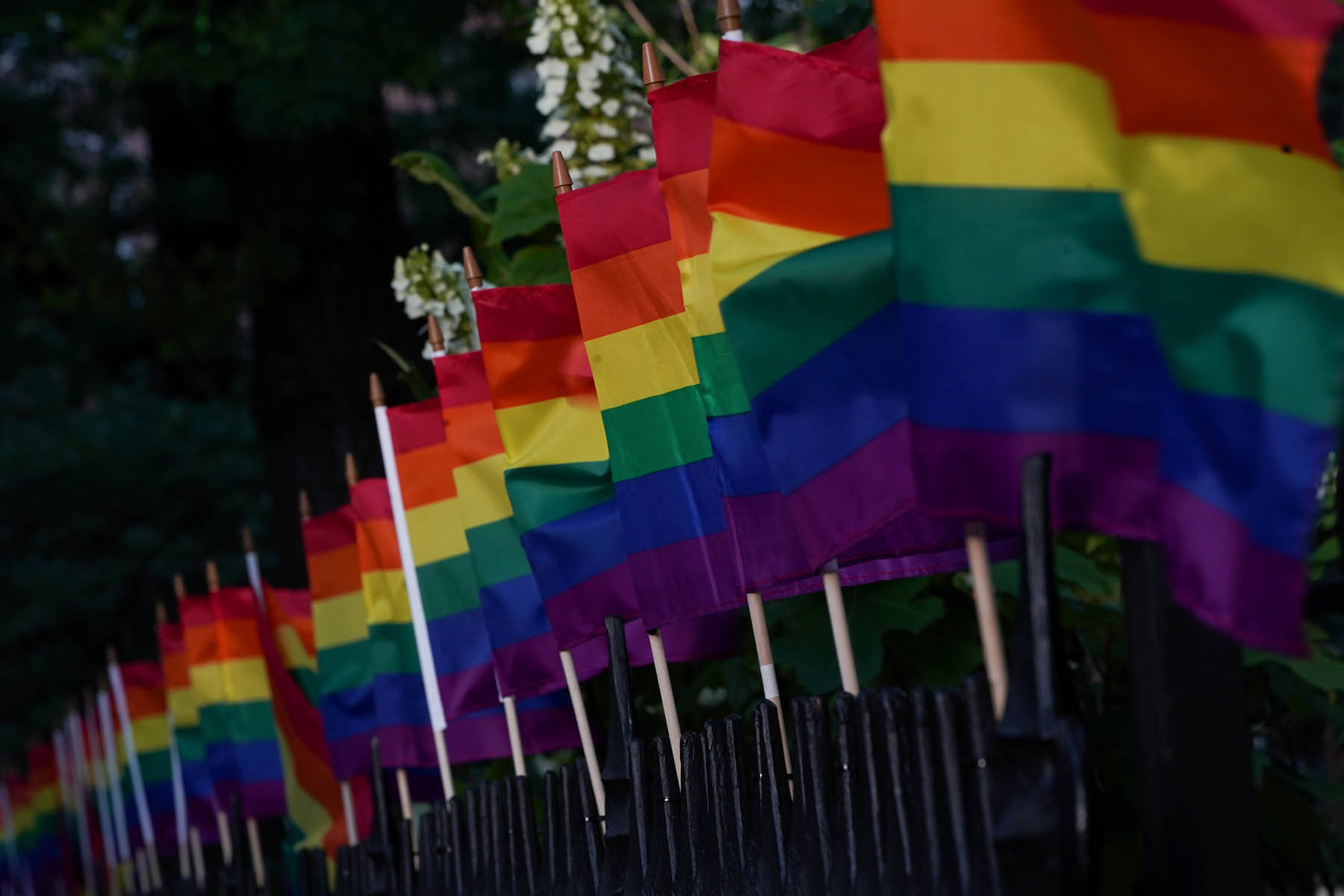 Rainbow flags fly across the street from the Stonewall Inn in New York
