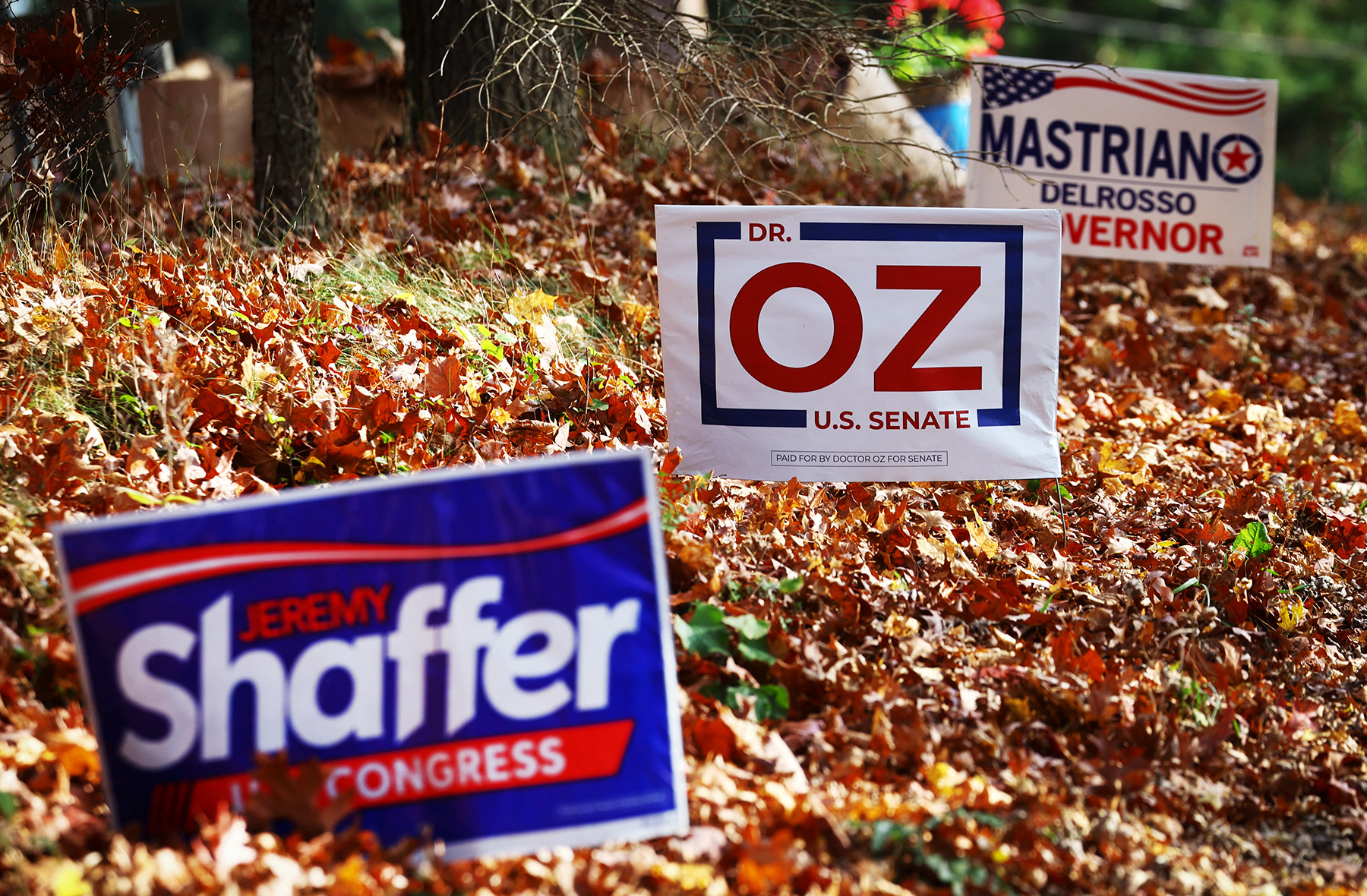 Political signs ahead of November 8, 2022 U.S. midterm elections in Wexford Pennsylvania