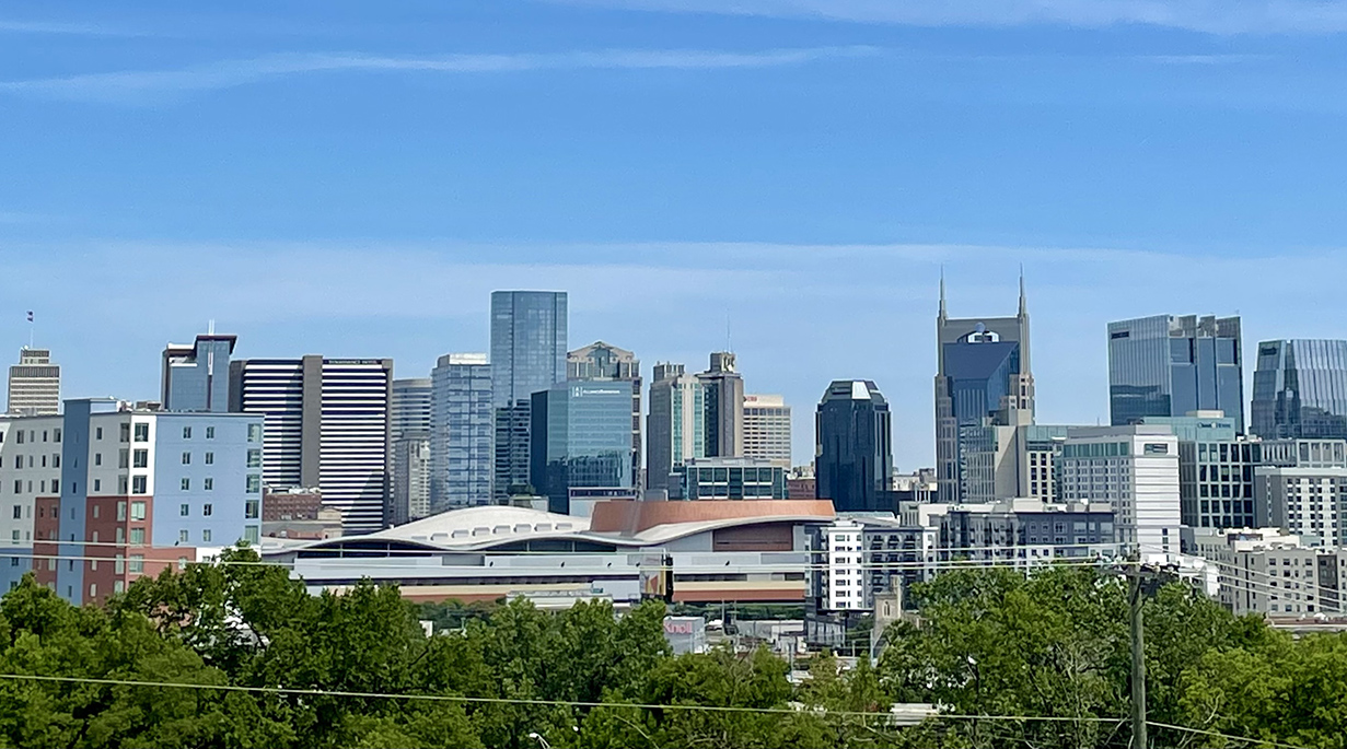 Image for Nashville Grapples With Lingering Neo-Nazi Presence in Tourist-Friendly City