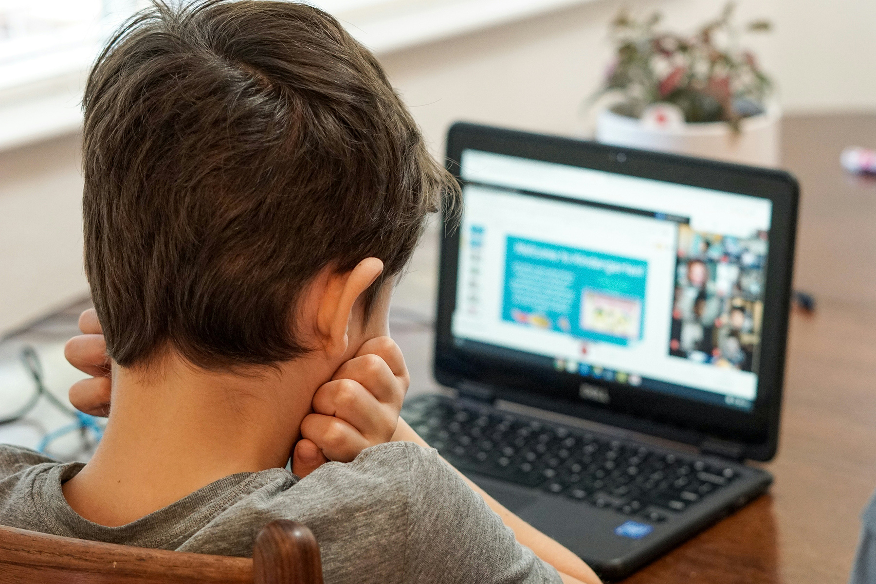 Kindergarten boy looking at laptop computer during first day of virtual learning online school
