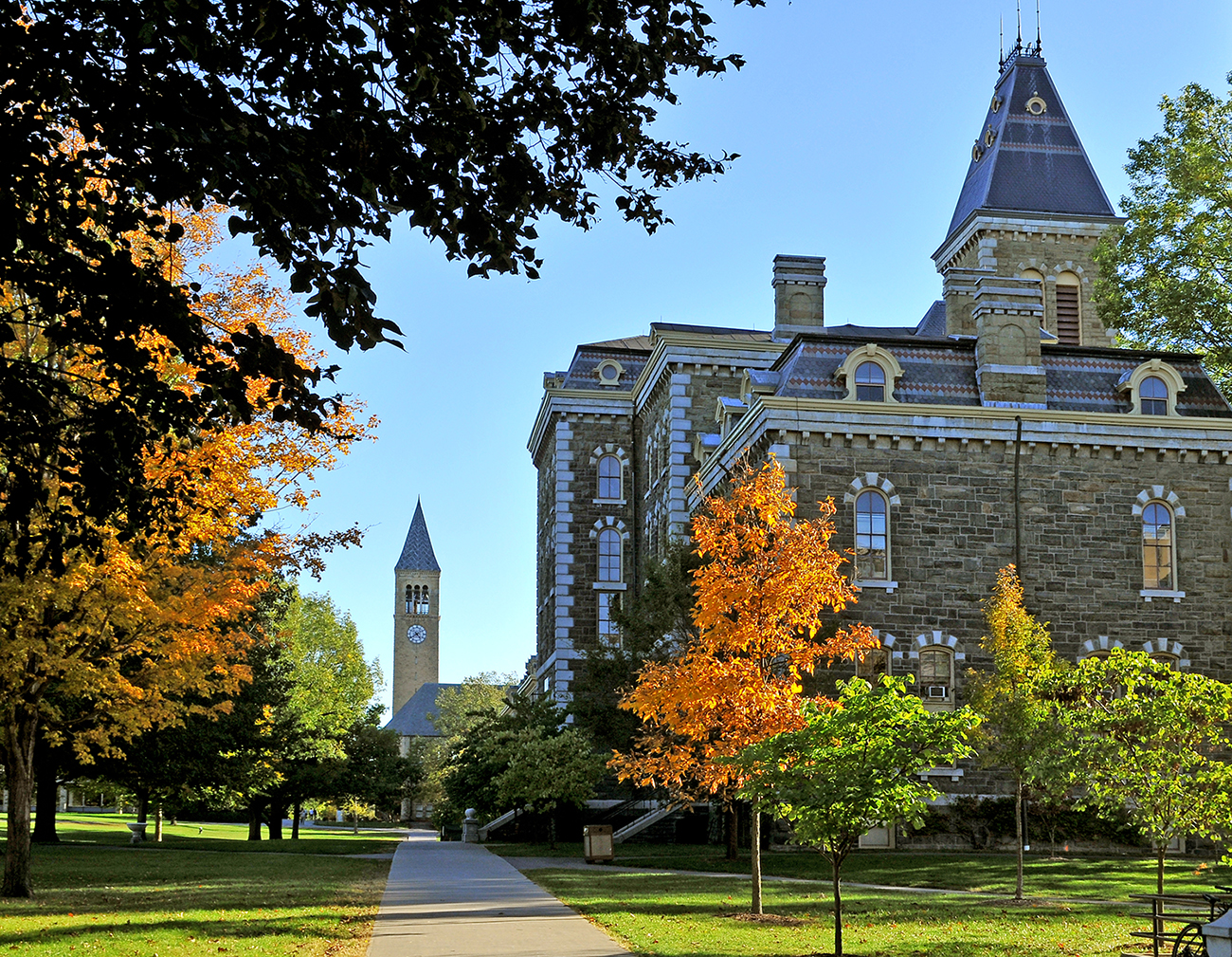 cornell university